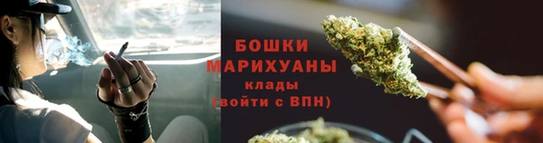 дурь Коряжма