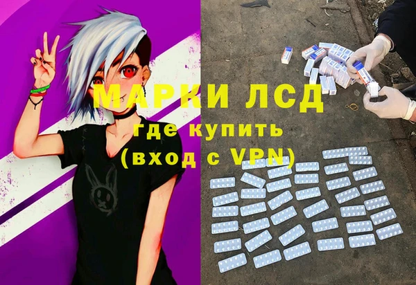 PSILOCYBIN Корсаков