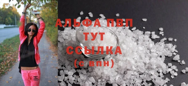 PSILOCYBIN Корсаков