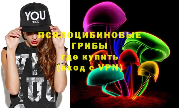 дурь Коряжма