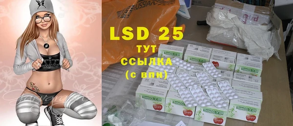 PSILOCYBIN Корсаков