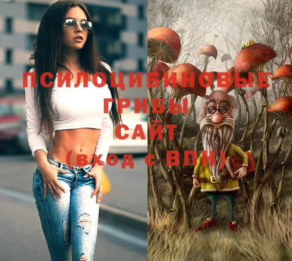 дурь Коряжма