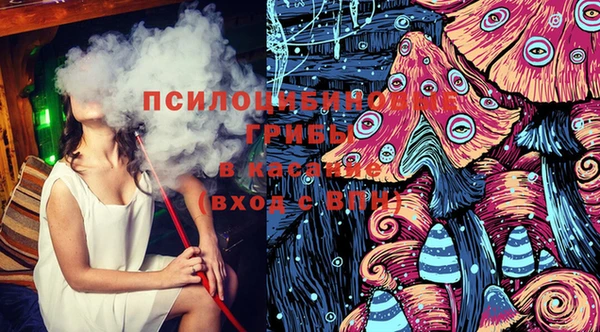 трава Костерёво
