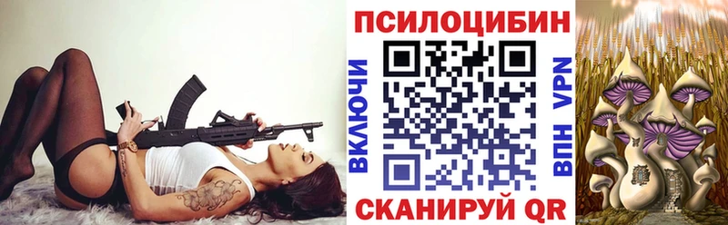 Галлюциногенные грибы Psilocybe  купить наркотики сайты  Михайловка 